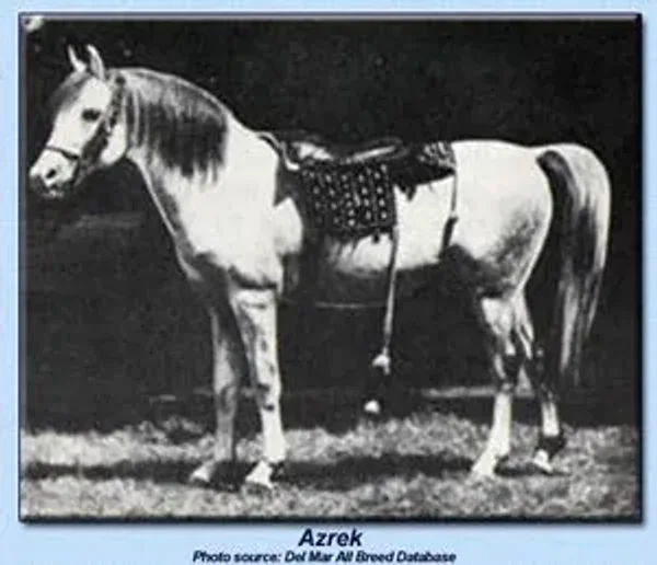 Azrek