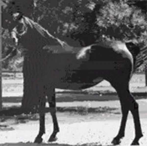 SERRASAB