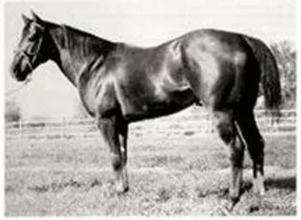 Hard Twist