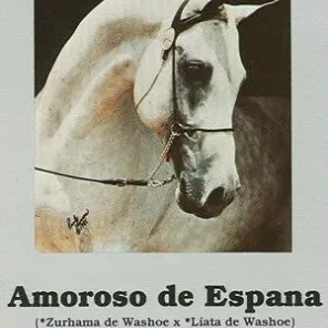 AMOROSO DE ESPANA