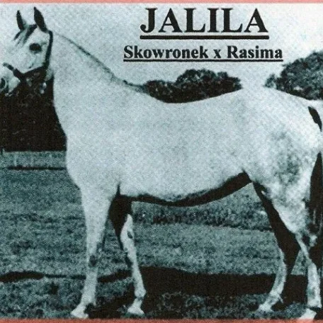 Jalila