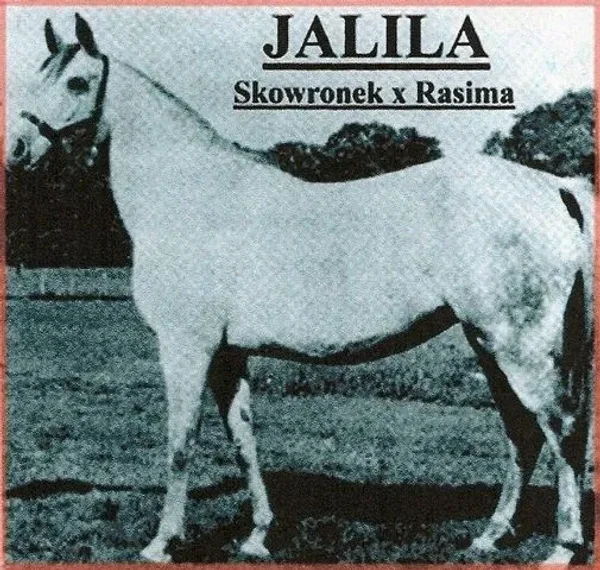 JALILA