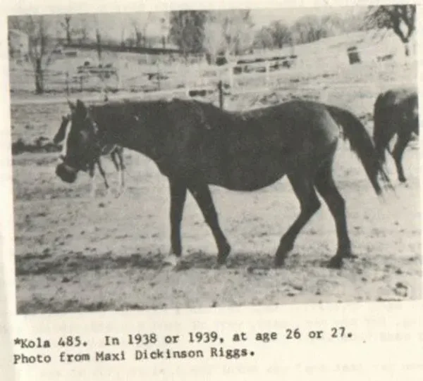 Kola