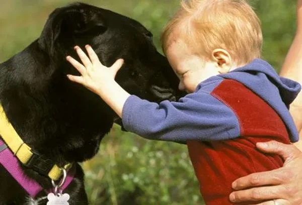 Health Benefits of Animals for Children
