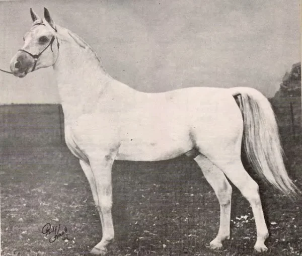 HANDEYRAFF
