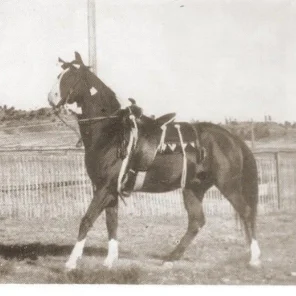 OLNATAR