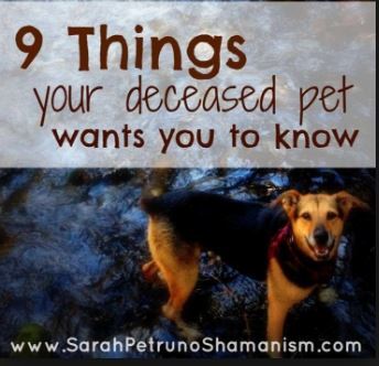 9 THINGS YOUR DECEASED PET WANTS YOU TO KNOW