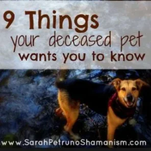 9 THINGS YOUR DECEASED PET WANTS YOU TO KNOW