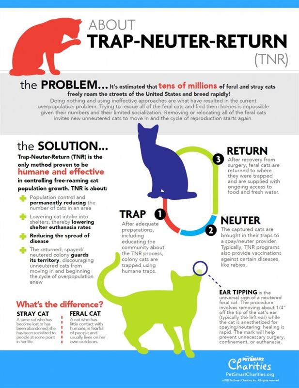 Trap-neuter-return (TNR)