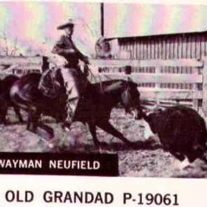 Old Grandad