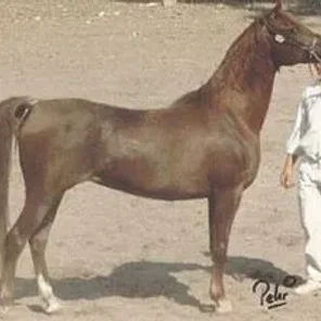 Sabah