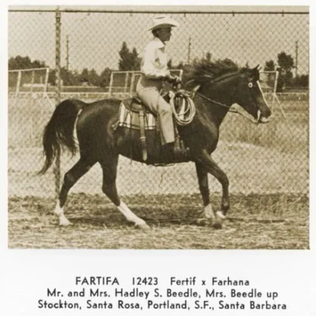 FARTIFA