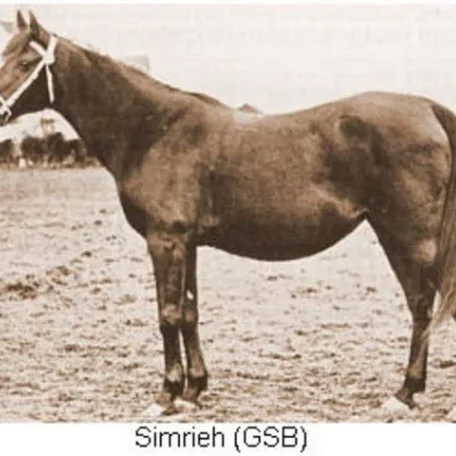 SIMRIEH