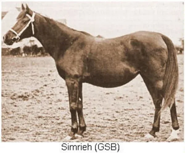 SIMRIEH