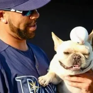 Some of the Most Inspiring Pets in Sports