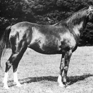 Nasra