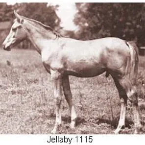 Jellaby