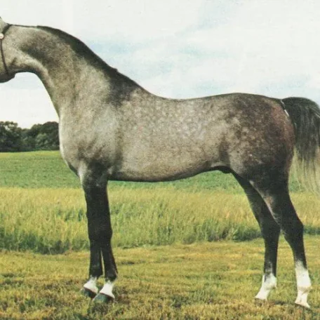 HERITAGE ELEGANT