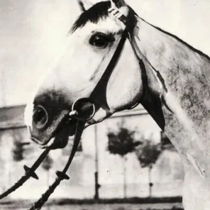 Caruso