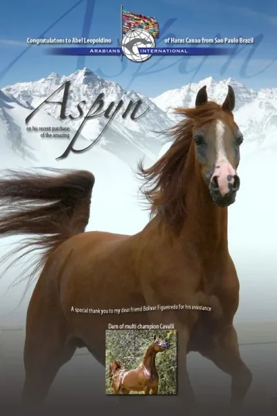 ASPYN