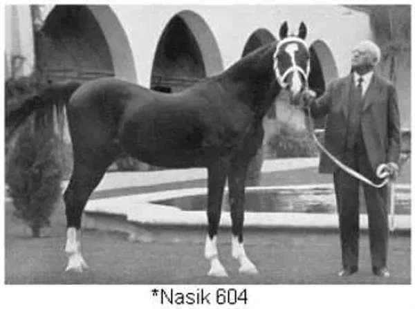 NASIK