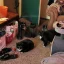 The Meower