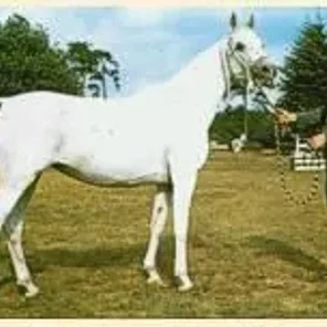 Estebna