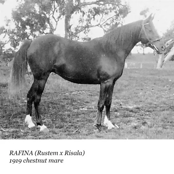 Rafina