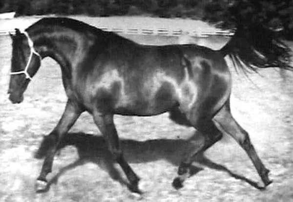 Kisronna