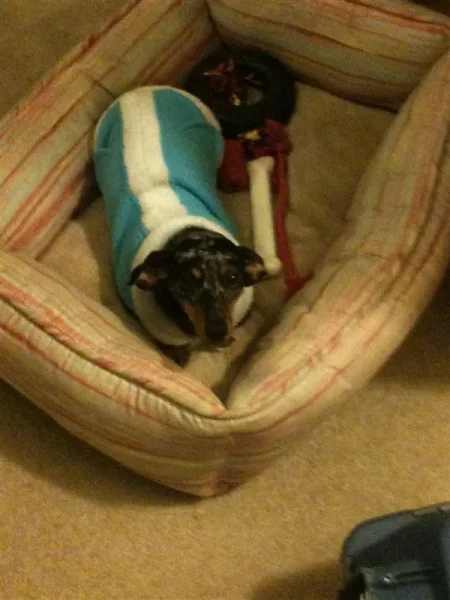 Roxy