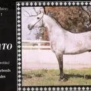 El Magato