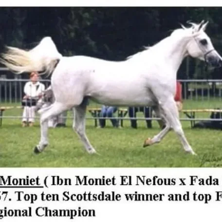 FA Moniet