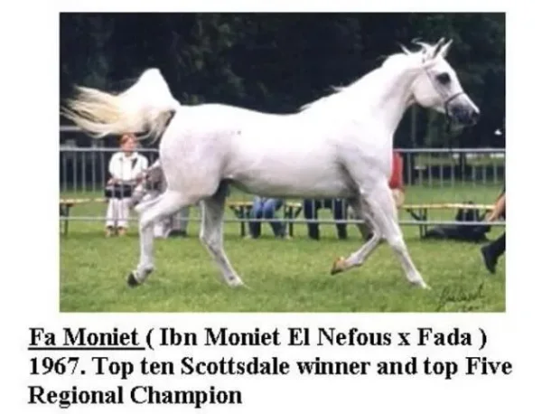 FA Moniet