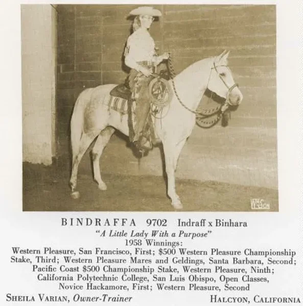 BINDRAFFA