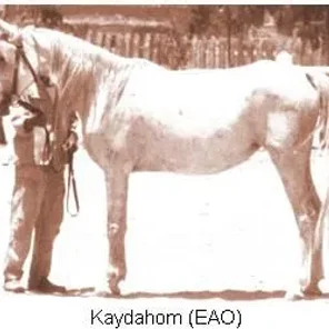 Kaydahom