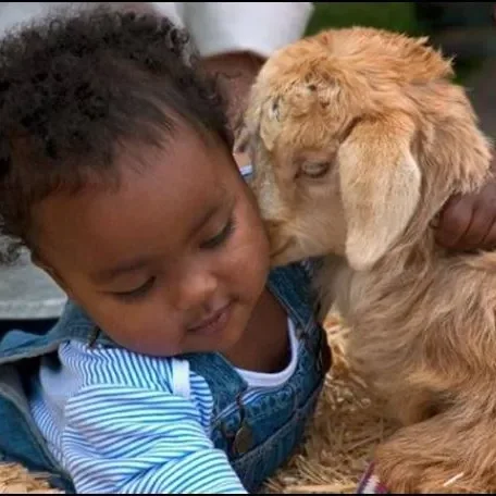I just love seeing children and animal bonding...so cute!