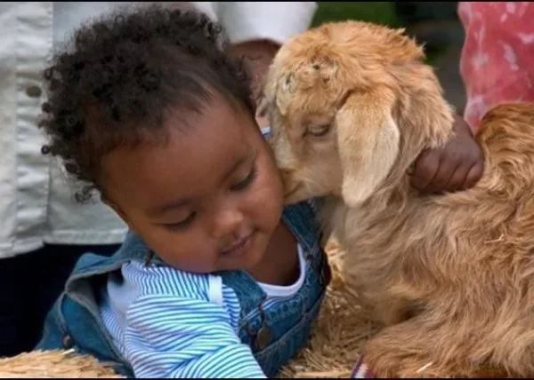 I just love seeing children and animal bonding...so cute!