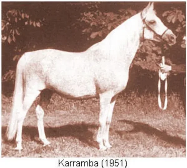 KARRAMBA