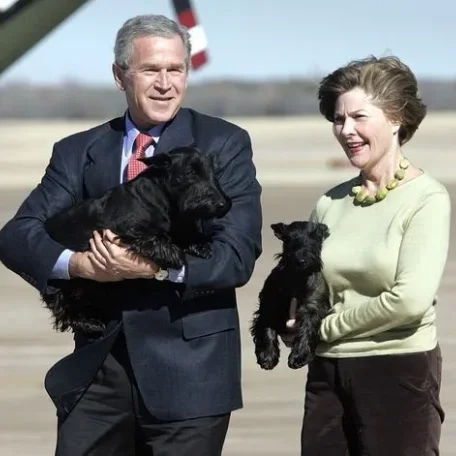 Our U.S. Presidents and some their Pets