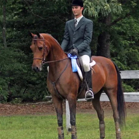 IM TRIFFIK and Curtis Mahler ATR Hunter Pleasure Champion. Trixie's return to the show ring