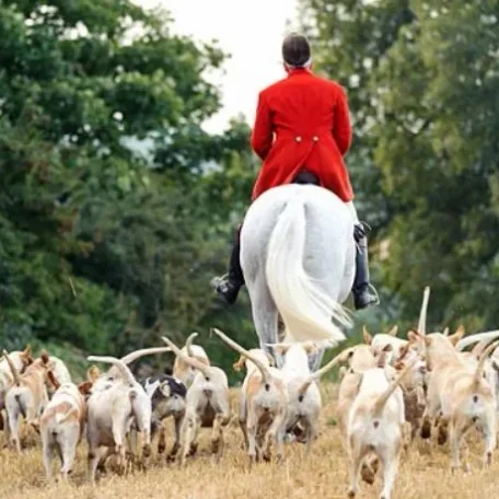 8 ways to avoid looking flustered on your first day autumn hunting