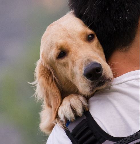 Why Promote Pedegru? We think that face says it all