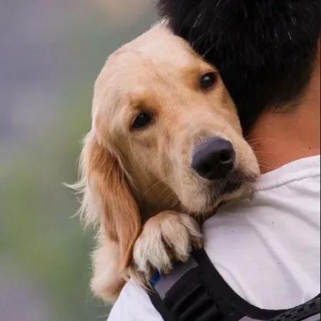 Why Promote Pedegru? We think that face says it all