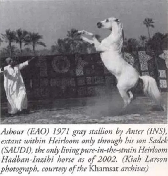 ASHOUR
