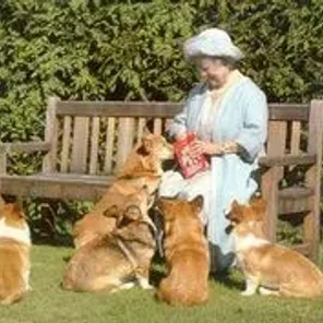 The Englilsh Royals and a Few of their Pets!