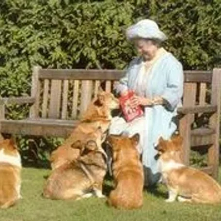 Royal, England, Elizabeth, King Charles the second, Price Robert, Prince William, Catherine (Kate) Middleton