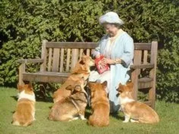 Royal, England, Elizabeth, King Charles the second, Price Robert, Prince William, Catherine (Kate) Middleton