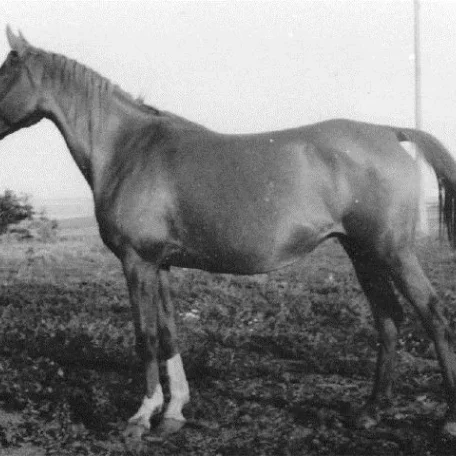 KANITEL
