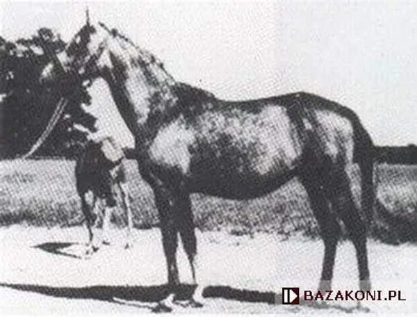 Penza