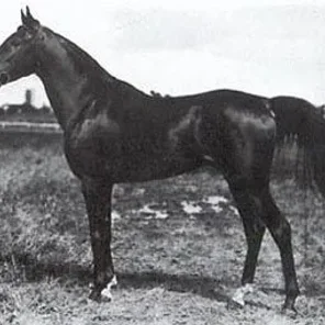 KUHAILAN AFAS
